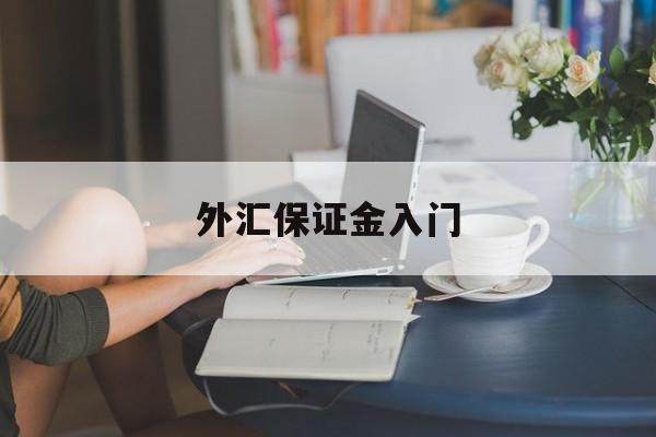 外汇保证金入门(外汇保证金交易计算公式)