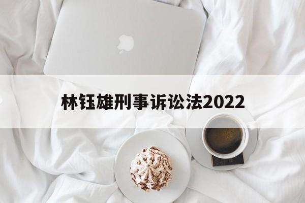 林钰雄刑事诉讼法2022(林钰雄刑事诉讼法人大出版社05年版)